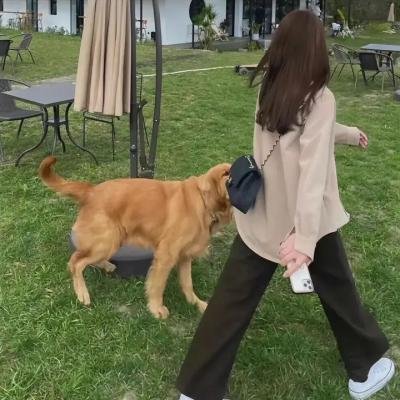 甜蜜的她·动态漫